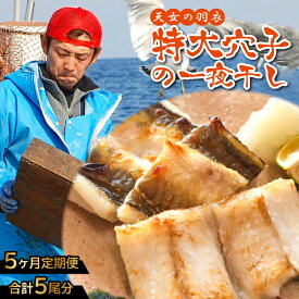 【ふるさと納税】 特大 肉厚 干物 あなご 50cm前後×1尾 一夜干 【5回定期便】 国産 島根県 大田市 魚介類 魚 穴子 真あなご 天ぷら ちらし寿司 蒲焼き かば焼き 素焼き 冷凍 真空 特産品 お取り寄せ グルメ