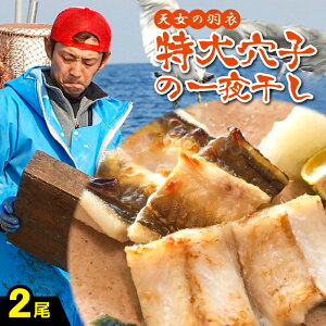 yӂ邳Ɣ[Łz    Ȃ 銱 50cmO 2 Y   q AiS ቖn ቖ  V wsgp Fsgp Y V Ⓚ ^ Yi 