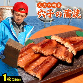 【ふるさと納税】 あなご 蒲焼き「天女の羽衣アナゴ」210g×1枚 仕込み醤油 タレ付き 山椒付き 国産 穴子 真あなご 無添加 冷凍 真空 特産品 お取り寄せ グルメ 贈答 お祝い ギフト プレゼント 父の日 母の日