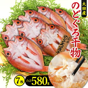 yӂ邳Ɣ[Łz  ̂ǂ 銱 Ղ 7 580g TCY ቖn ቖ  n V Y lC    mhO AJc g g ґ fĂp  