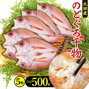 yӂ邳Ɣ[Łz  {l ̂ǂ 銱 5 500g V Y lC    mhO AJc g g ґ fĂ Ⓚ ^ Yn Yi  O  