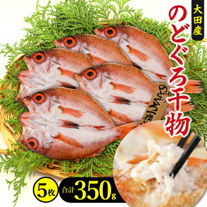 yӂ邳Ɣ[Łz  ̂ǂ 銱 5 350g Y lC    mhO AJc g g ґ fĂ ቖn ቖ  V wsgp Fsgp Y