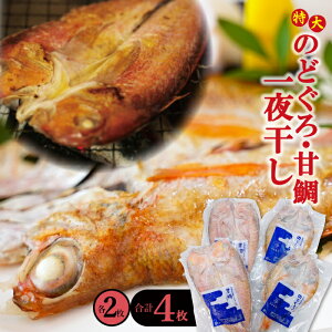 yӂ邳Ɣ[Łz   ̂ǂ 230g×2 Ñ 325g×2 v4 銱 V Y lC    mhO AJc g g ґ fĂ ANApbc@ ݂ 