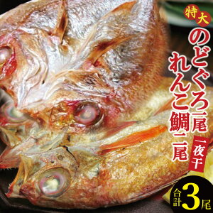 yӂ邳Ɣ[Łz   ̂ǂ 261g`290g×1 񂱑 161g`180g×2 v3 銱 Y lC    mhO AJc R g g ґ fĂ Ⓚ ^ Yn