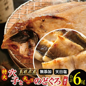 yӂ邳Ɣ[Łz  Ԃ ̂ǂ 176g`200g×3  q 50cmO×3 銱 Y lC    mhO AJc AiS g g ґ Ⓚ ^ Yn Yi 