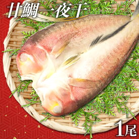 【ふるさと納税】 干物 甘鯛 1尾 約27cm 約300g 国産 魚介類 魚 あまだい 一夜干 一夜干し 一日漁 無添加 天日塩 特産品 お取り寄せ グルメ 贈答 贈り物 お祝い ギフト プレゼント 父の日 母の日