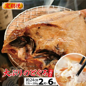 yӂ邳Ɣ[Łz y6ցz ̂ǂ  2 1F176g`200g 24cm 6񂨓͂  L mhO AJc Hi 銱  ^pbN Y  cs Ⓚ Yi 