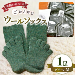yӂ邳Ɣ[Łz Ђ 5{w E[\bNX MTCY 23cm`25cm C  \bNX  pC aю O[  [ XO[ r fB[X Y jp 