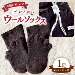 yӂ邳Ɣ[Łz Ђ 5{w E[\bNX MTCY 23cm`25cm C  \bNX  pC aю _[NuE uE r fB[X Y jp  