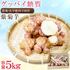 【ふるさと納税】 紫菊芋 5kg 菊芋 いも 野菜 芋 農薬不使用 化学肥料不使用 季節限定 期間限定 数量限定 土つき発送 島根県 大田市 農薬・化学肥料不使用 やさい 素揚げ