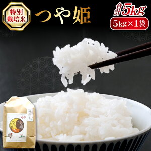 �y�ӂ邳�Ɣ[�Łz ���ʍ͔|�� �X���n�� ��P 5kg �������Y ��c�s�Y �� �Ό���R�X����P ���_�� �����w�엿 ���͂� ���ٓ� ���ɂ��� ���ނ��� ���Y�i ������ �O����