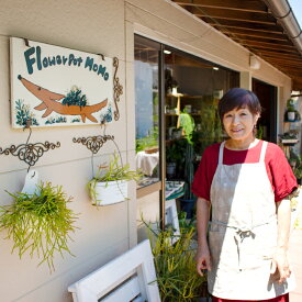 【ふるさと納税】季節の多肉植物 寄せ植え体験 現地体験型 ワークショップ 寄せ植え体験 手植え 四季の植物 多肉植物 植物 グリーン おすすめ よせうえ 観葉植物 癒し かわいい 自然 島根県 大田市