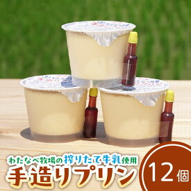 【ふるさと納税】手造りプリン12個セット【冷蔵 ネッカ牛乳 ネッカ卵 蒸しプリン ソース別 素朴 デザート スイーツ おやつ グルメ ご褒美 新鮮 生乳 搾りたて 自然派 島根県 安来市】