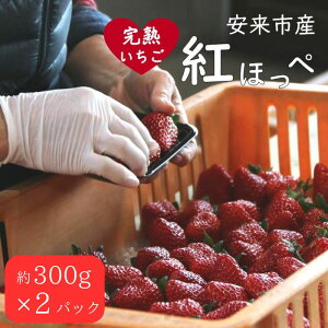 yӂ邳Ɣ[Łz gق 2pbN ^ s\ t n  C`S Y Â lC Yi  t[c fU[g 300g 600g