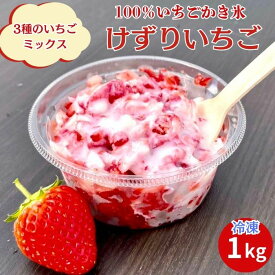 【ふるさと納税】冷凍完熟削りいちご 1kg【 フローズン 苺 イチゴ フルーツ 果物 ミックス かおり野 紅ほっぺ よつぼし 甘酸っぱい 甘味 酸味 おやつ デザート 島根県 安来市 安来市産】