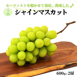yӂ邳Ɣ[ŁzystzVC}XJbg 600g × 2[ y1.2kg Ԃǂ uhE  2025 \ s\ Ȃ 炲 Â n t[c  {   sz