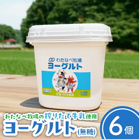 【ふるさと納税】ヨーグルト500g（プレーン）6個セット【無糖 ネッカ牛乳 ノンホモ製法 セット 搾りたて 栄養 こだわり おやつ デザート 朝食 スイーツ 自然派 化学合成物質不使用 安心 乳製品 乳酸菌 腸活 健康 島根県 安来市】