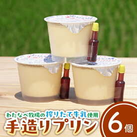 【ふるさと納税】手造りプリン6個セット【冷蔵 ネッカ牛乳 ネッカ卵 蒸しプリン ソース別 牧場 スイーツ おいしい ご褒美 おやつ 牧場 搾りたて グルメ お土産 自宅用 ギフト 贈り物 島根県 安来市】