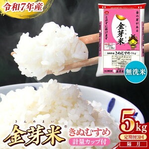 �y�ӂ邳�Ɣ[�Łz������ց�BG�����āE����Ă��ʂނ��� 5kg×3�� �i�u���j�^ �ߘa7�N�Y 2������1�� �z�� 6���� �v15kg ���N�� �������Y ���N �ߐ� ���Z �A�E�g�h�A �L�����v ���m���C�X ������