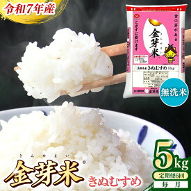 【ふるさと納税】＜定期便＞ BG無洗米・金芽米きぬむすめ 5kg×6ヵ月 【毎月】令和7年産 6ヶ月 時短 健康 米 BG 無洗米 計30kg 精米 半年間 島根県産 節水 時短 アウトドア キャンプ 東洋ライス おすすめ 島根県 安来市【価格改定】