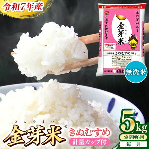 �y�ӂ邳�Ɣ[�Łz������ց� BG�����āE����Ă��ʂނ��� 5kg×6���� �y�����z�ߘa7�N�Y 6���� ���Z ���N �� BG ������ �v30kg ���� ���N�� �������Y �ߐ� ���Z �A�E�g�h�A �L�����v ���m���C�X 