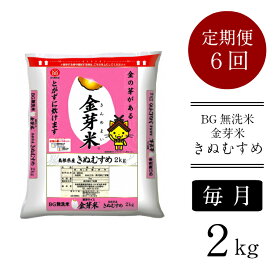 【ふるさと納税】＜定期便＞ BG無洗米 金芽米 きぬむすめ 2kg × 6ヵ月 ／ 米 BG 無洗米 毎月 6ヶ月 半年間 島根県産 令和5年産 新生活応援 お試し 節水 時短 アウトドア キャンプ 東洋ライス 低カロリー 健康 しまねっこ 小袋