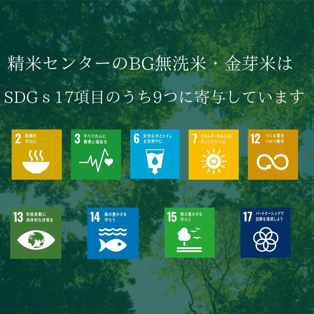 アイテムID:495633の画像5枚目
