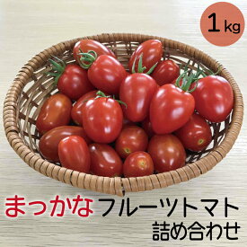 【ふるさと納税】【先行予約】まっかな フルーツ トマト 詰め合わせ 1kg 【完熟トマト 樹上完熟 トマト 野菜 ベジタブル 詰め合わせ セット 完熟 栄養 甘い 美味しい 島根県 安来市】