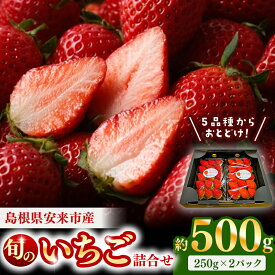 【ふるさと納税】農場長厳選の美味しいいちご 500g【250g×2パック 苺 詰め合わせ いちご イチゴ 果物 フルーツ 甘味 甘酸っぱい かおり野 紅ほっぺ よつぼし スターナイト すず おやつ 島根県 安来市産 安来市】