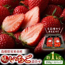 【ふるさと納税】農場長厳選の美味しいいちご 1000g 【250g×4パック 苺 詰め合わせ 厳選 フルーツ 果物 かおり野 紅ほっぺ よつぼし スターナイト すず 甘味 セット 化粧箱 島根県 安来市 安来市産】