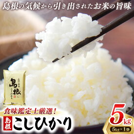 【ふるさと納税】食味鑑定士厳選　島根こしひかり 5kg（5kg×1袋）【米 コシヒカリ 令和7年産 精米 島根県 安来市】