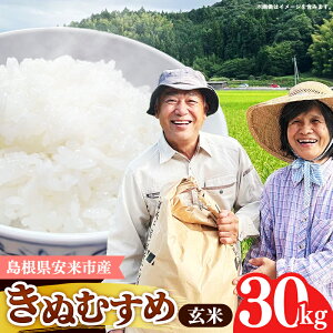yӂ邳Ɣ[ŁzystzsY ʂނ  30kg yߘa7NY V s \   R  ͂  Y ٓ  lC   szyi