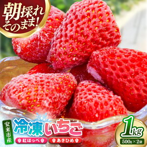 yӂ邳Ɣ[ŁzⓀ iw^Jbgς 500g̏ x 2jy C`S Ⓚ ʕ t[c n Â gق Ђ W V[xbg X[W[  s 