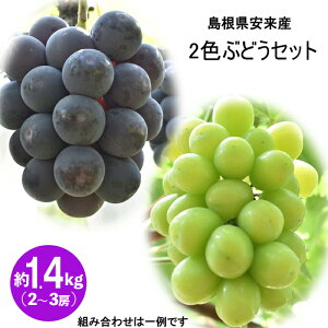 yӂ邳Ɣ[Łz2Fl߈Ԃǂl 1.4kg ^y8{`9{z^ 2`3[ sI[l  NCj[i |NC[ VC}XJbg ˃WCAc 2 C { l