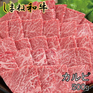 yӂ邳Ɣ[Łz ܂˘a Jr 500g ^ ܂˘a Jr ē   炩 ~  ґ p[eB[ ĂȂ o[xL[ BBQ a  s