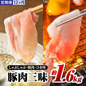 yӂ邳Ɣ[Łz 12 ܂P|[N ؓO 1.6kg ( [X o ؂藎Ƃ e~` ) 12z v19.2kg yAK-7z Y ؓ Ԃ  ؃o o ғ ~` ؂