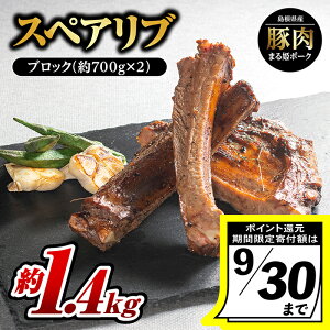 yӂ邳Ɣ[Łzy9/30̌񕍊zz܂P|[N XyAu ubN700g×2pbNi1.4kgjyAK-27zb Y ؓ Ԃ Ԃɂ  XyAu ubN ₫ɂ ē BBQ 