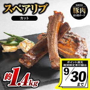 yӂ邳Ɣ[Łzy9/30̌񕍊zz܂P|[N XyAuiJbgj700g×2pbNi1.4kgjyAK-28zb Y ؓ Ԃ Ԃɂ  XyAu Jbg ₫ɂ ē BBQ 