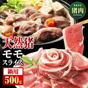 yӂ邳Ɣ[ŁzVR ]̐shishi XCX p 500g i 2`3lO jyAI-5zb Y WrG VRWrG VR  CmVV    XCX  XCX 