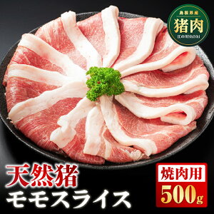 yӂ邳Ɣ[ŁzVR ]̐shishi XCX ēp 500g i 2`3lO jyAI-6zb Y WrG VRWrG VR  CmVV    XCX  XC