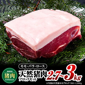 【ふるさと納税】江の川shishi ブロックセット 計2.7kg〜3kg 【AI-3】｜送料無料 国産 ジビエ 天然ジビエ お肉 肉 いのしし肉 イノシシ肉 猪肉 天然猪 モモ バラ ロース ブロック肉 ブロック ブロックセット セット スジ無し 煮込み用 角煮 焼肉 焼き肉 BBQ 冷凍 希少｜