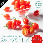  【訳あり】スパルタ生まれのひみこ（フルーツミニトマト）約1kg GC-17【配送不可：離島】　【 スパルタ生まれ ひみこ ミニトマト フルーツミニトマト】