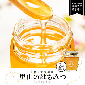 【ふるさと納税】里山のはちみつ(120g×2本)セット 計240g【RY-4】｜送料無料 国産 国産はちみつ 天然 はちみつ ハチミツ 蜂蜜 HONEY Honey ハニー 瓶 パン ハニートースト ホットケーキ ヨーグルト 料理 フルーティー プレゼント 贈答 贈り物 ギフト セット｜