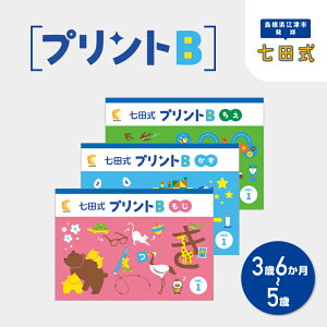 【ふるさと納税】江津市限定返礼品 七田式プリントB 3歳半〜5歳 【SC-50】|送料無料 しちだ 七田式 3歳 4歳 5歳 就学前 幼児 子育て 教育 教材 こども 子ども キッズ 知育 プリント 勉強 短時間