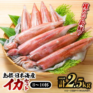 yӂ邳Ɣ[ŁzNZbgCyCJ 8`10t v2.5kgzb  CJ  RA {CY  L CY CY 8`10t 2.5kg  N CJ CJ 񂳂 肢 