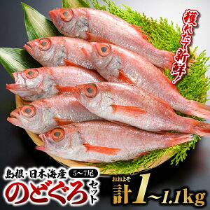 yӂ邳Ɣ[ŁzNZbgF ̂ǂ 5`7(1kg`1.1kg)b tĊJ ̂ǂ mhO   Ă  RA {CY  L CY  ϕt N VNb͂