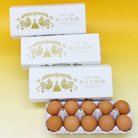 【ふるさと納税】平飼い八雲鶏(やくもどり)　彩り天佑卵(てんゆうらん) 10個×3パック
