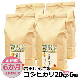 【ふるさと納税】【定期便6か月連続お届け】「吉田げんき米」コシヒカリ20kg（5kg×4）