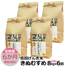 【ふるさと納税】【定期便6か月連続お届け】「吉田げんき米」きぬむすめ8kg（2kg×4）