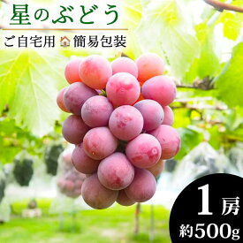 【ふるさと納税】＜令和6年夏発送・数量限定＞自然が育んだ「星のぶどう」クイーンニーナ 1房(約500g)［ ご自宅用・簡易包装 ］／島根県 雲南市 フルーツ 果物 デザート ブドウ 葡萄